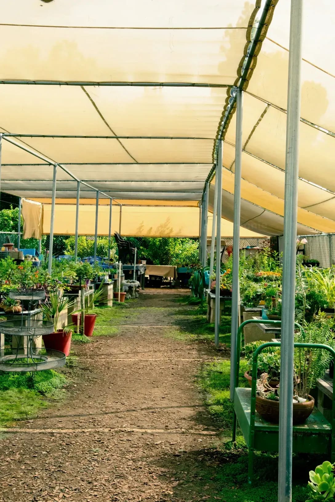 Verdure & Harmonie 10
