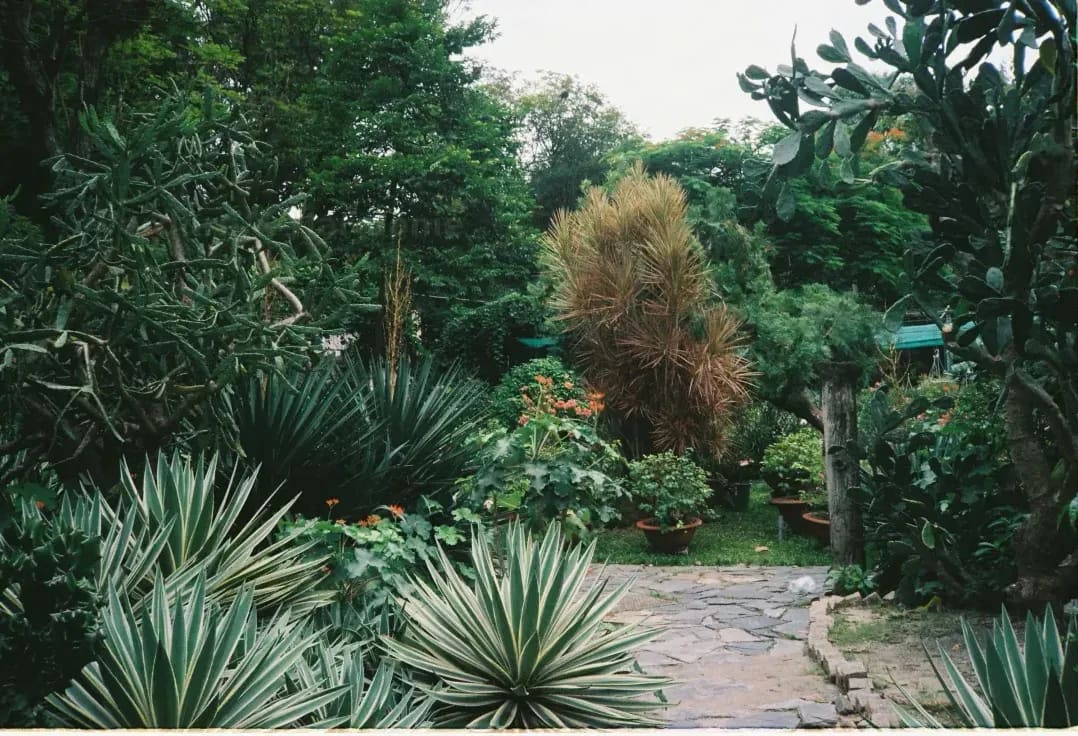 Verdure & Harmonie 14