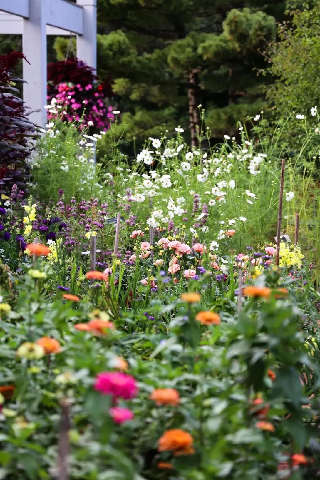 Verdure & Harmonie 6