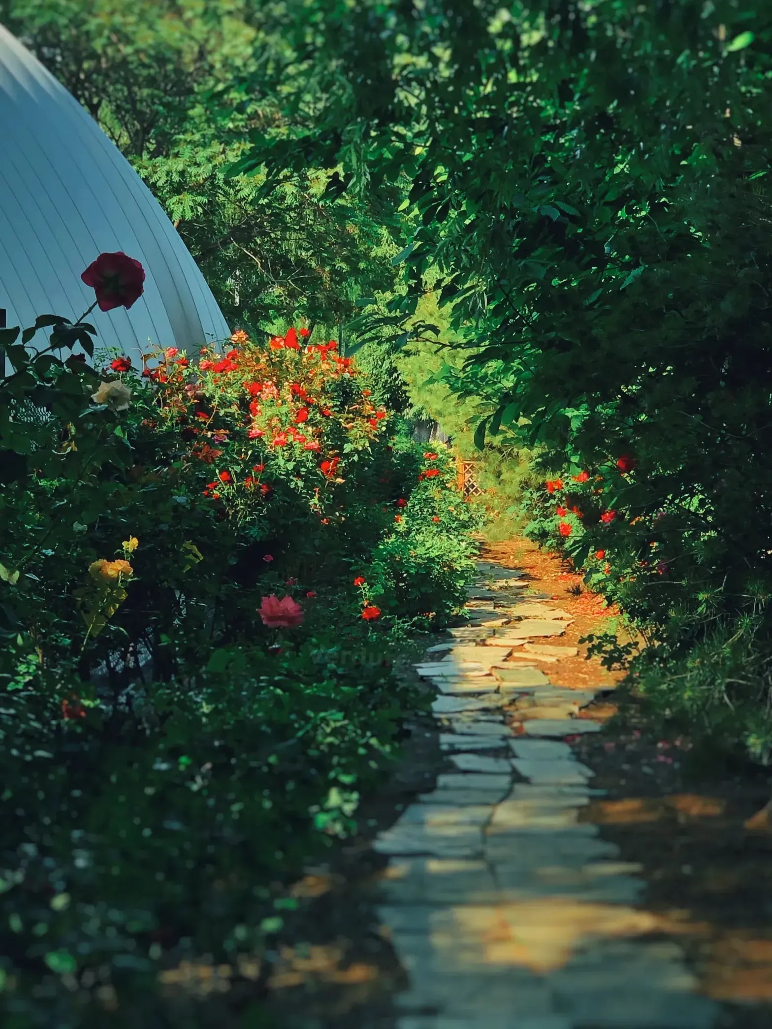 Verdure & Harmonie